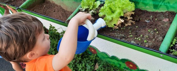 Cuidado com a horta na Vilaplay